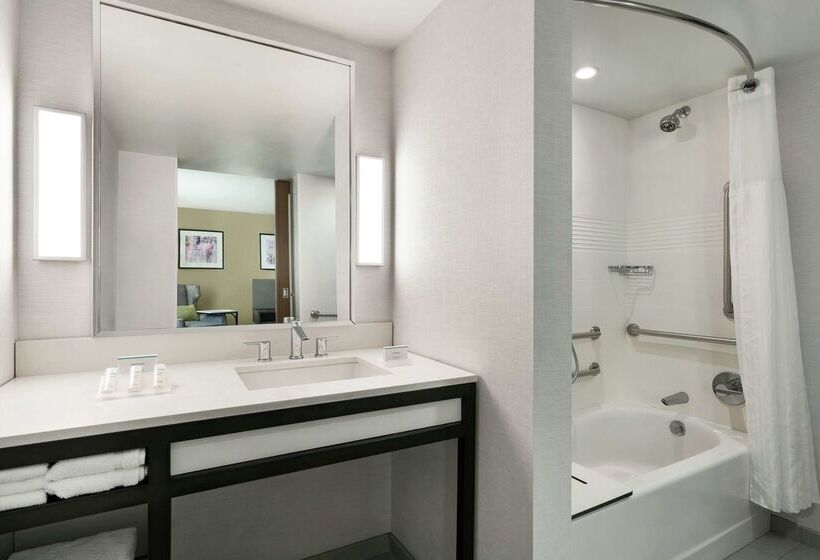 فندق Hilton Garden Inn  Springfield