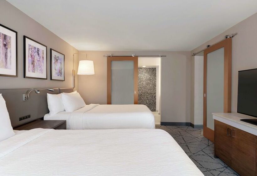 فندق Hilton Garden Inn  Springfield
