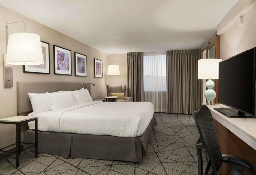 فندق Hilton Garden Inn  Springfield