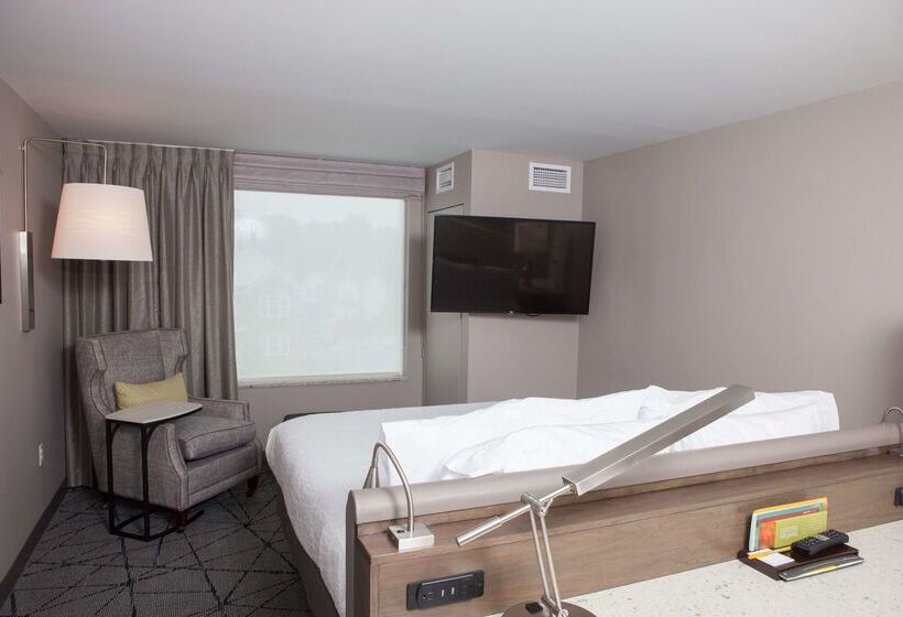 فندق Hilton Garden Inn  Springfield