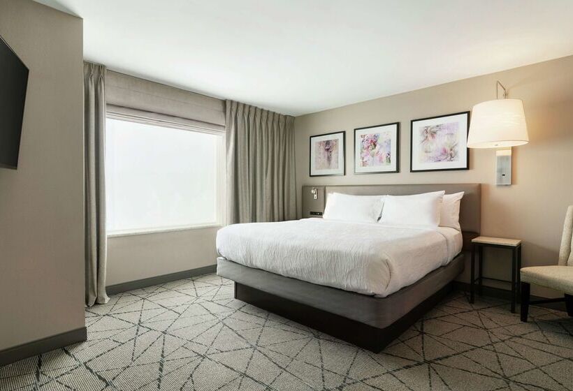 فندق Hilton Garden Inn  Springfield