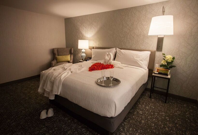 فندق Hilton Garden Inn  Springfield