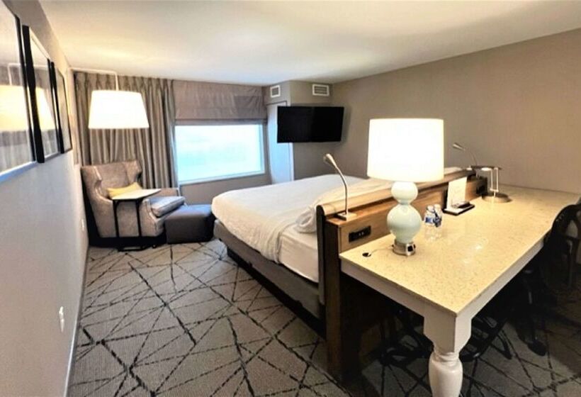 فندق Hilton Garden Inn  Springfield