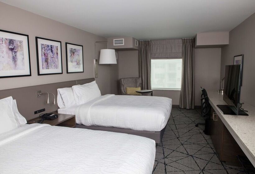 فندق Hilton Garden Inn  Springfield