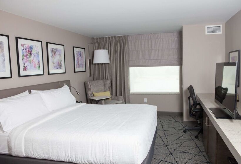 فندق Hilton Garden Inn  Springfield