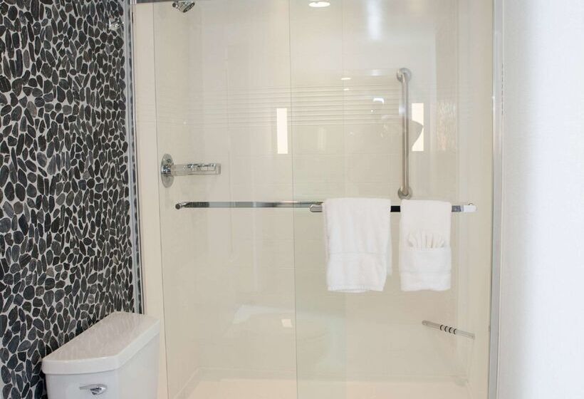 فندق Hilton Garden Inn  Springfield