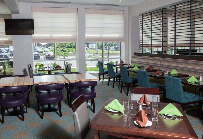 فندق Hilton Garden Inn  Springfield