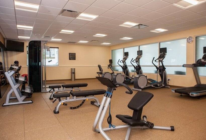 فندق Hilton Garden Inn  Springfield