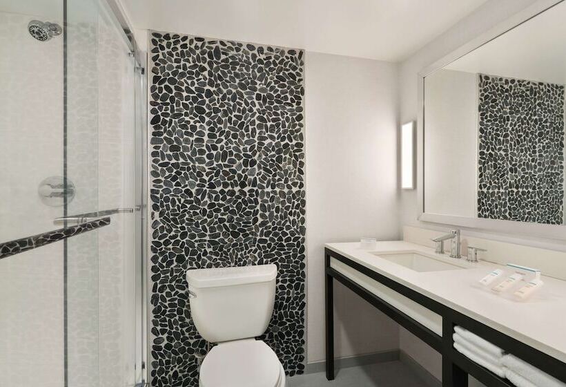 فندق Hilton Garden Inn  Springfield