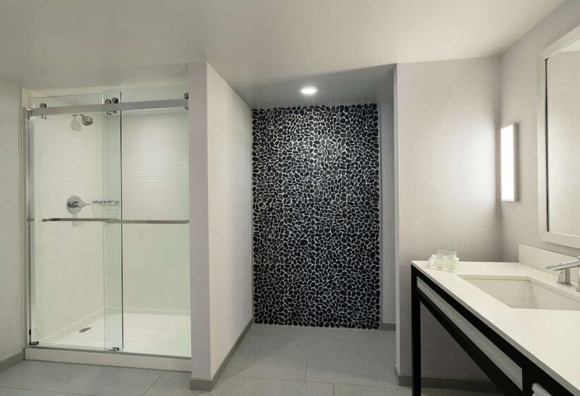 فندق Hilton Garden Inn  Springfield