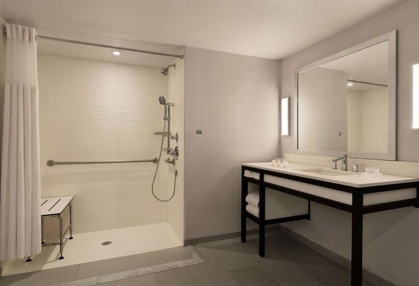 فندق Hilton Garden Inn  Springfield