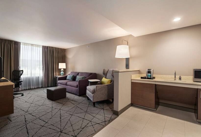 فندق Hilton Garden Inn  Springfield