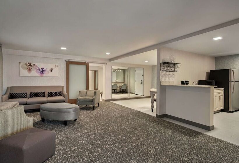 فندق Hilton Garden Inn  Springfield