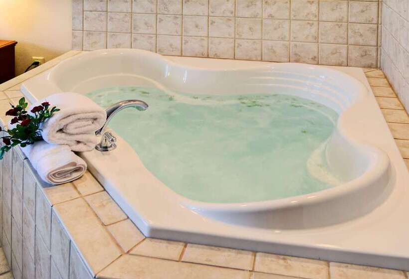 Отель Hilton Garden Inn Springfield, Il