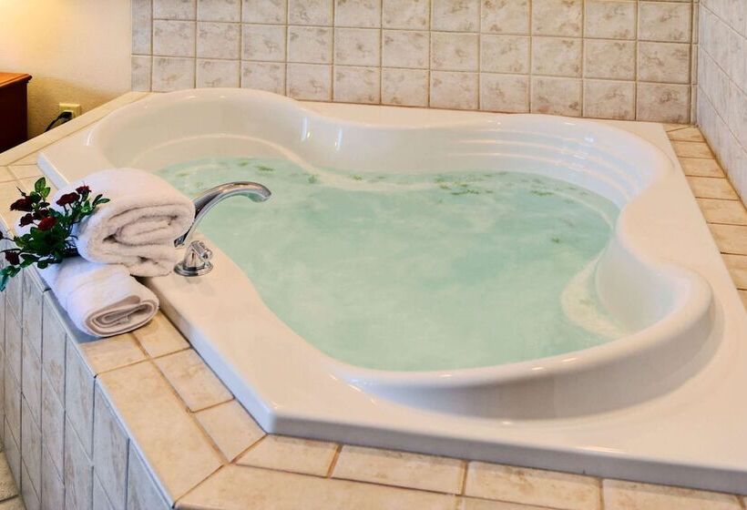 Отель Hilton Garden Inn Springfield, Il