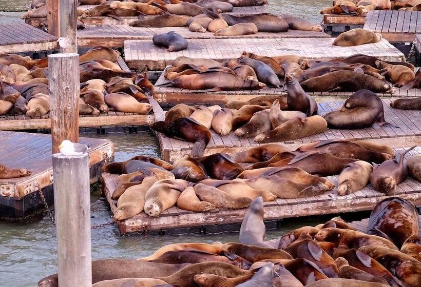 فندق Hilton San Francisco Financial District