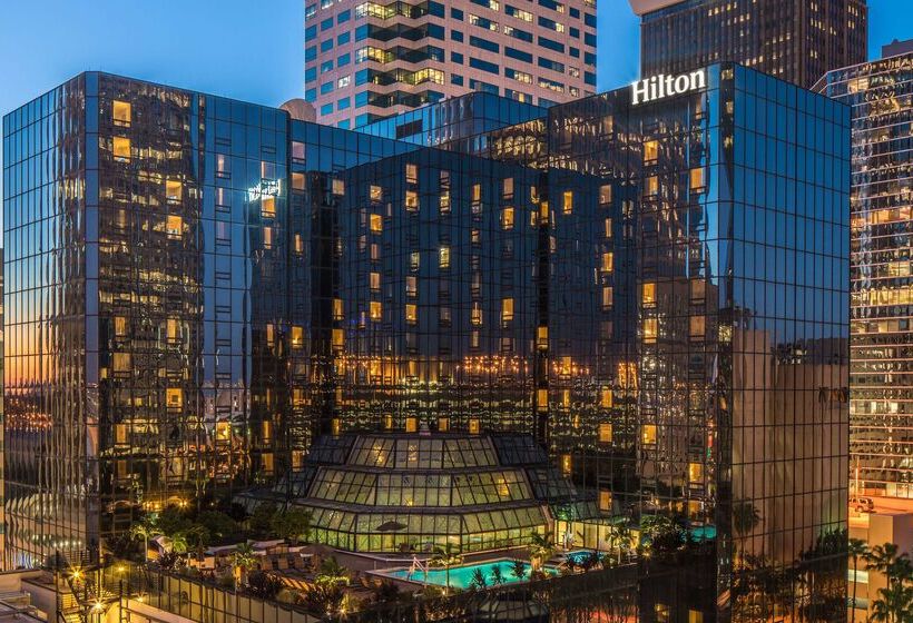 فندق Hilton Tampa Downtown