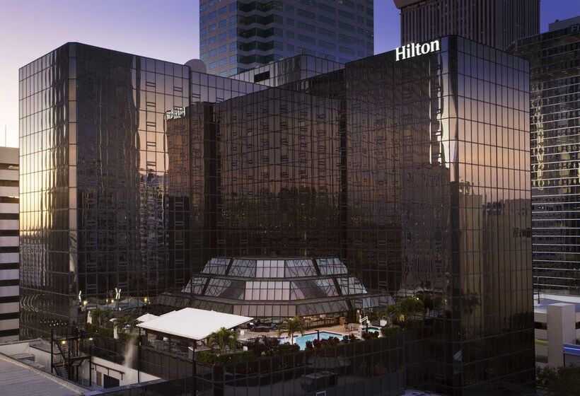 فندق Hilton Tampa Downtown