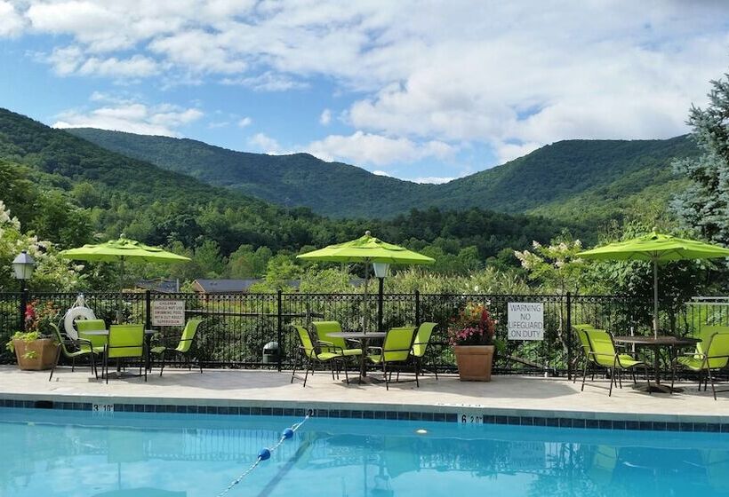 هتل Holiday Inn Asheville East Blue Ridge Pkwy, An Ihg