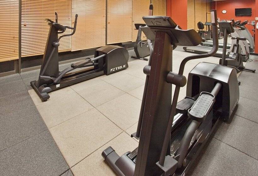 ホテル Holiday Inn Binghamton Downtown Hawley Street, An Ihg