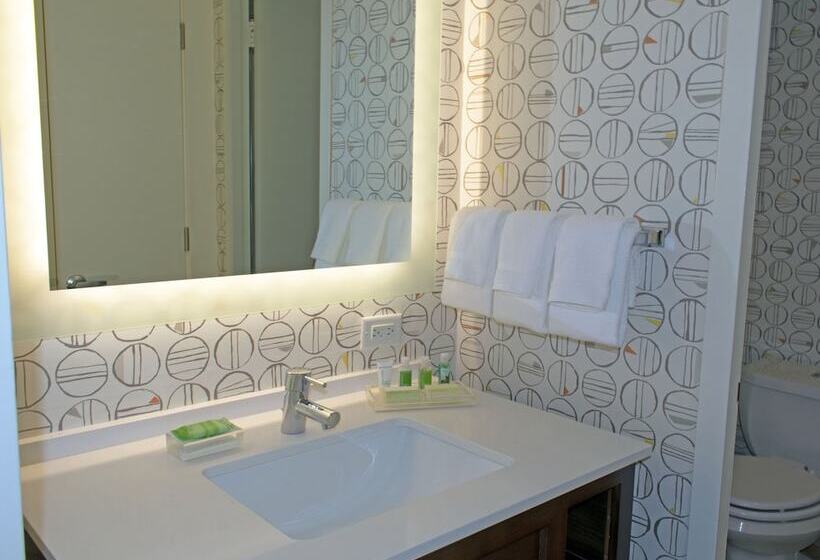 ホテル Holiday Inn Binghamton Downtown Hawley Street, An Ihg