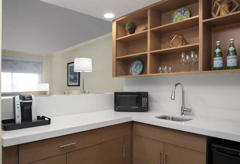 ホテル Holiday Inn Binghamton Downtown Hawley Street, An Ihg