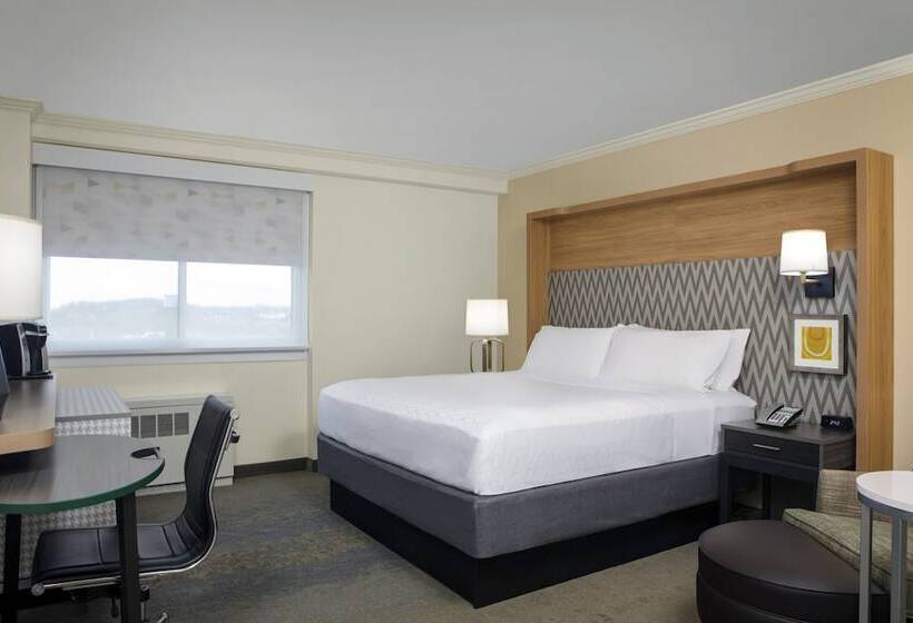 ホテル Holiday Inn Binghamton Downtown Hawley Street, An Ihg