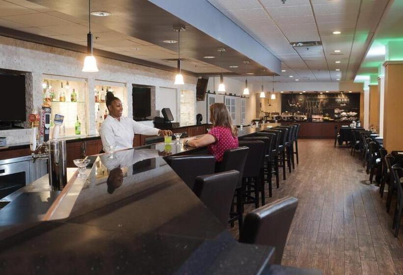 酒店 Holiday Inn Birmingham Airport, An Ihg