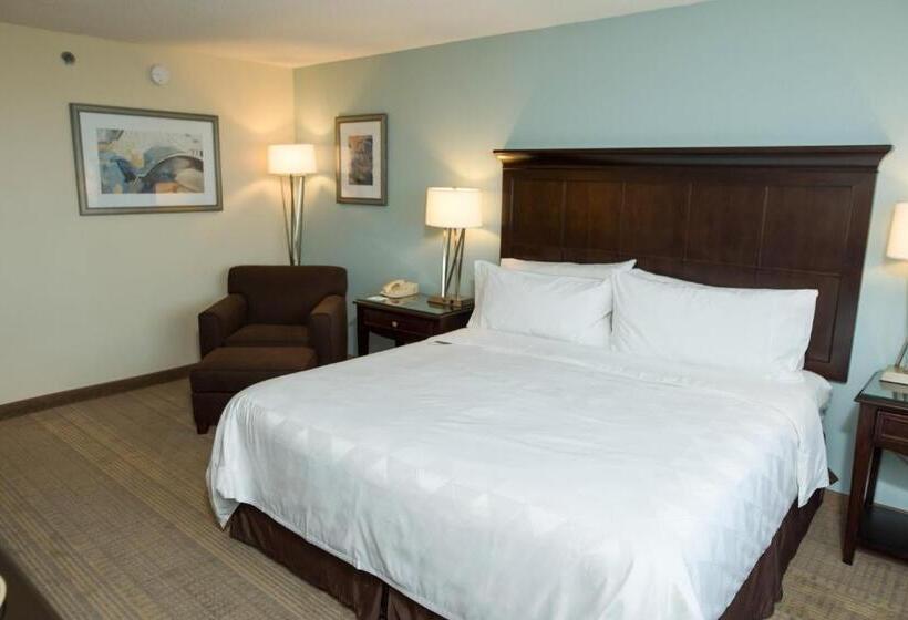 酒店 Holiday Inn Birmingham Airport, An Ihg