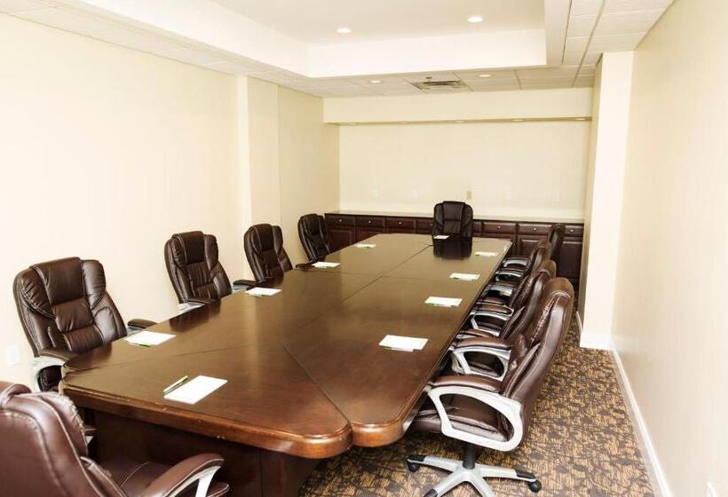 酒店 Holiday Inn Birmingham Airport, An Ihg