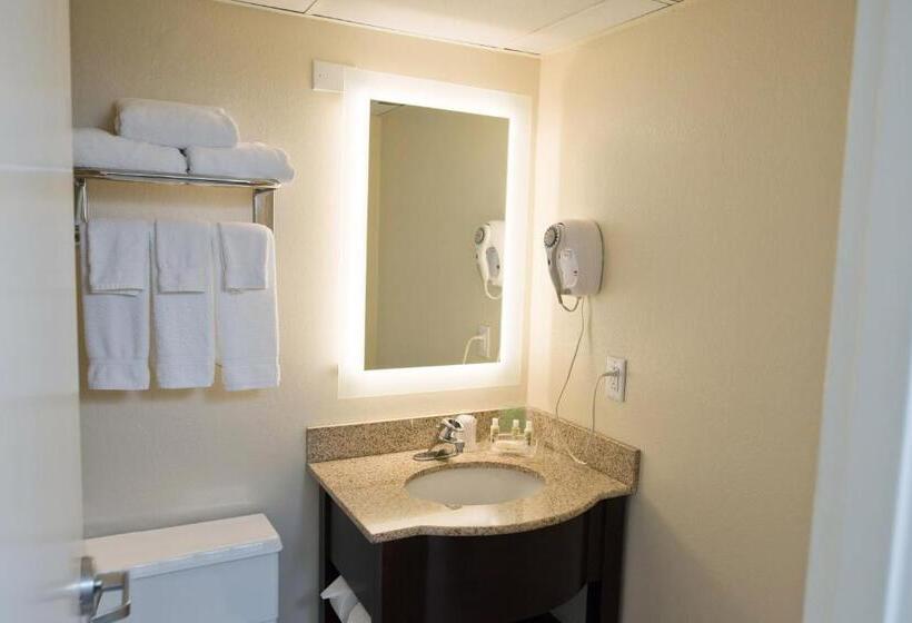 هتل Holiday Inn Birmingham Airport, An Ihg