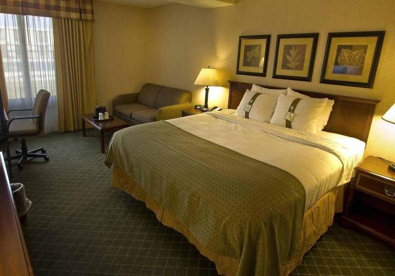 Hotel Holiday Inn Buffalo Amherst