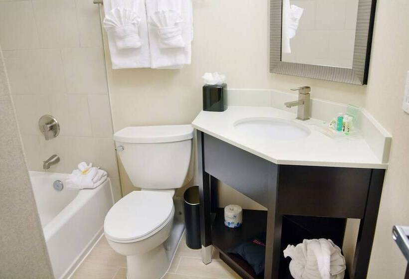 בית מלון כפרי Holiday Inn Charlotte Airport, An Ihg