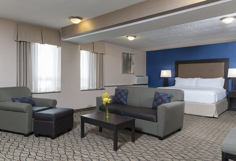 هتل Holiday Inn Chicago   Elk Grove, An Ihg