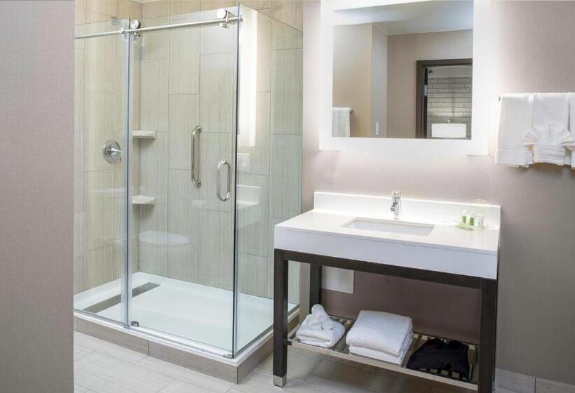 هتل Holiday Inn Chicago Sw Countryside Confctr By Ihg