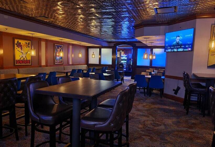 هتل Holiday Inn Chicago Sw Countryside Confctr By Ihg