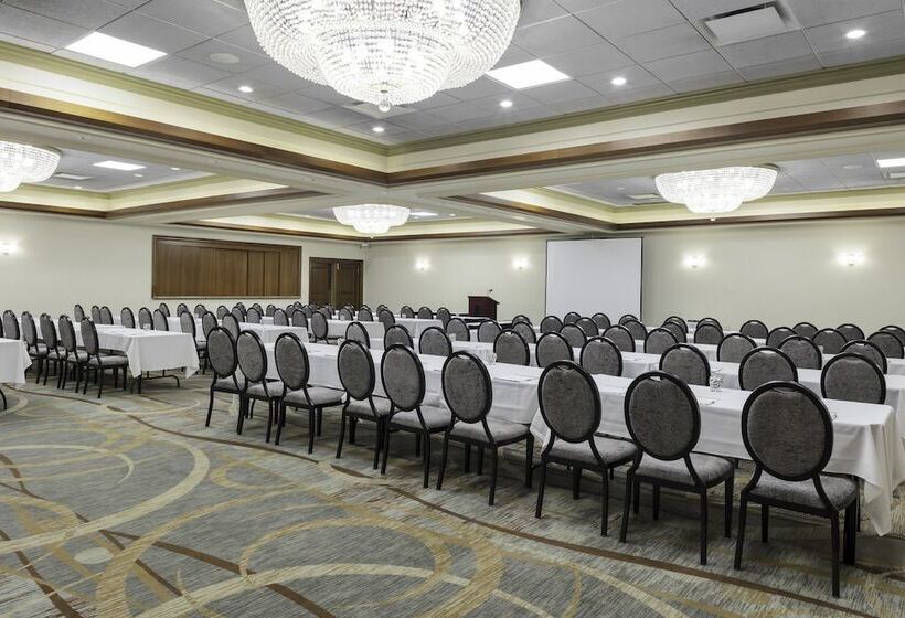 هتل Holiday Inn Chicago Sw Countryside Confctr By Ihg