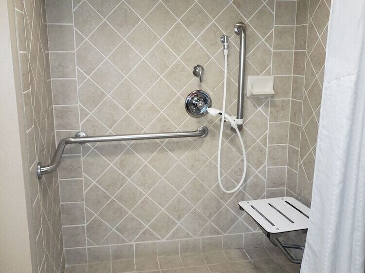 هتل Holiday Inn Chicago Sw Countryside Confctr By Ihg