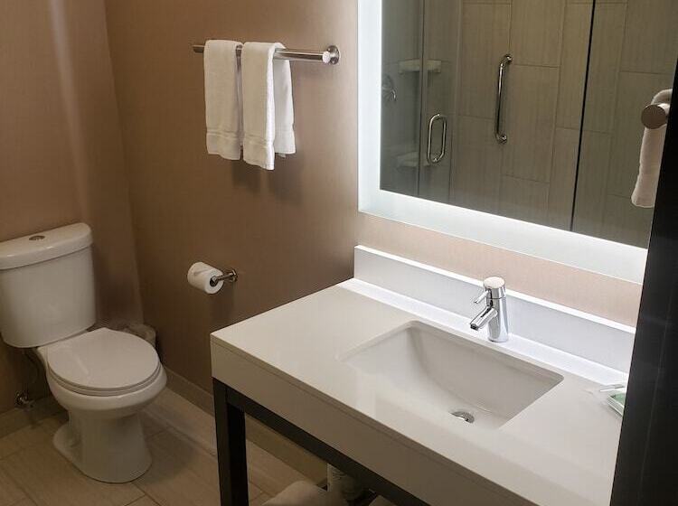 هتل Holiday Inn Chicago Sw Countryside Confctr By Ihg