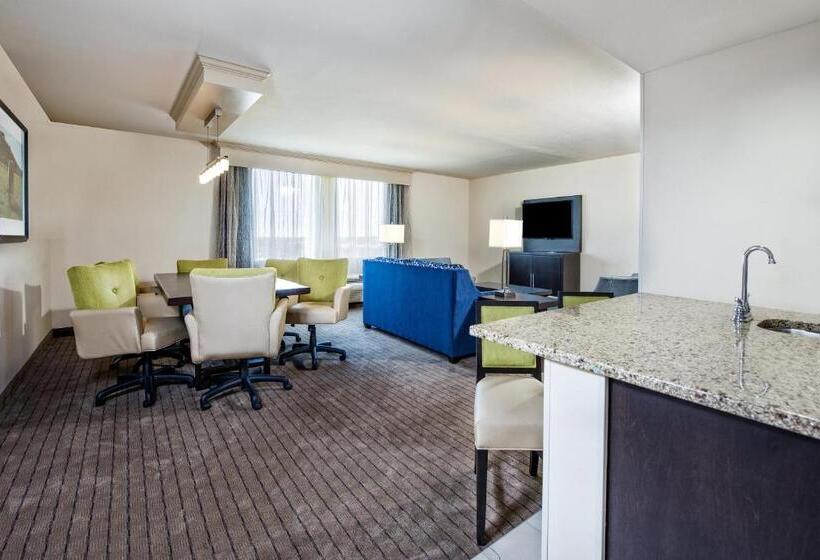 Holiday Inn Hotel Dallas Dfw Airport West, An Ihg