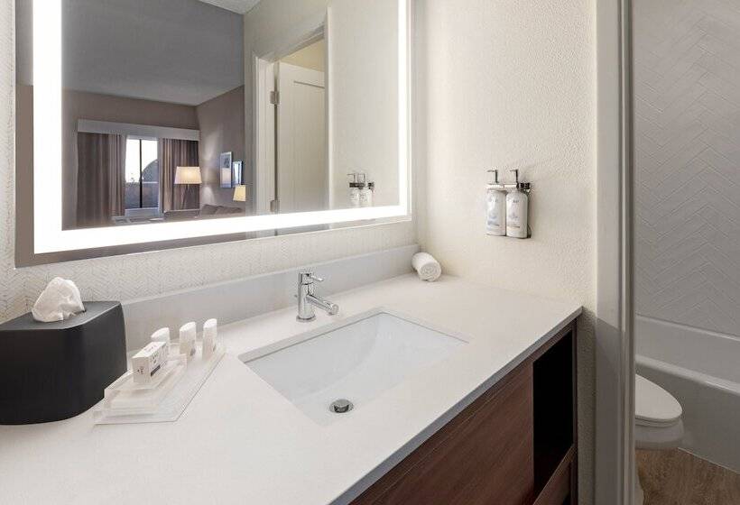 בית מלון כפרי Holiday Inn El Paso West   Sunland Park By Ihg