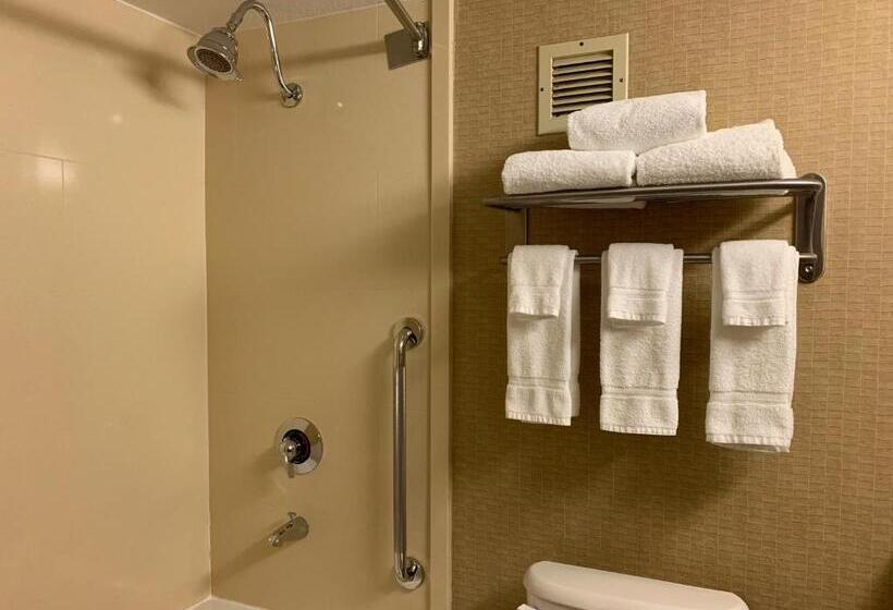 فندق Holiday Inn Johnstown Downtown, An Ihg