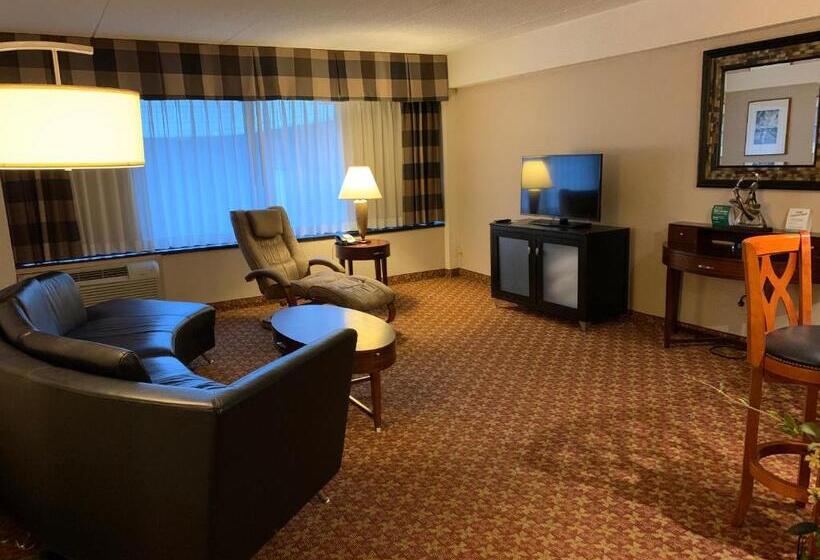 فندق Holiday Inn Johnstown Downtown, An Ihg