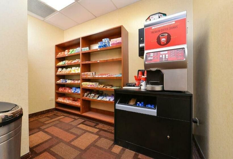 فندق Holiday Inn Mount Prospectchicago