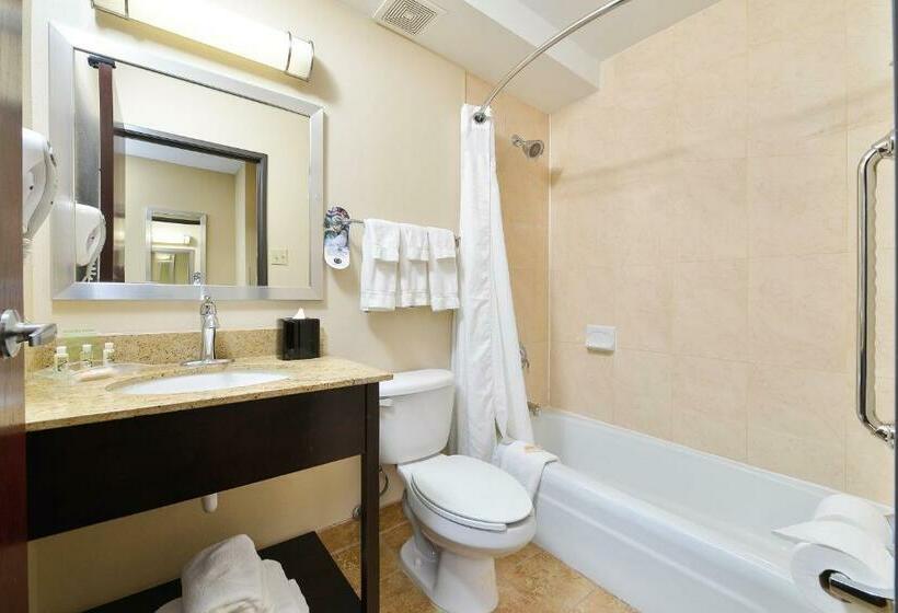 فندق Holiday Inn Mount Prospectchicago