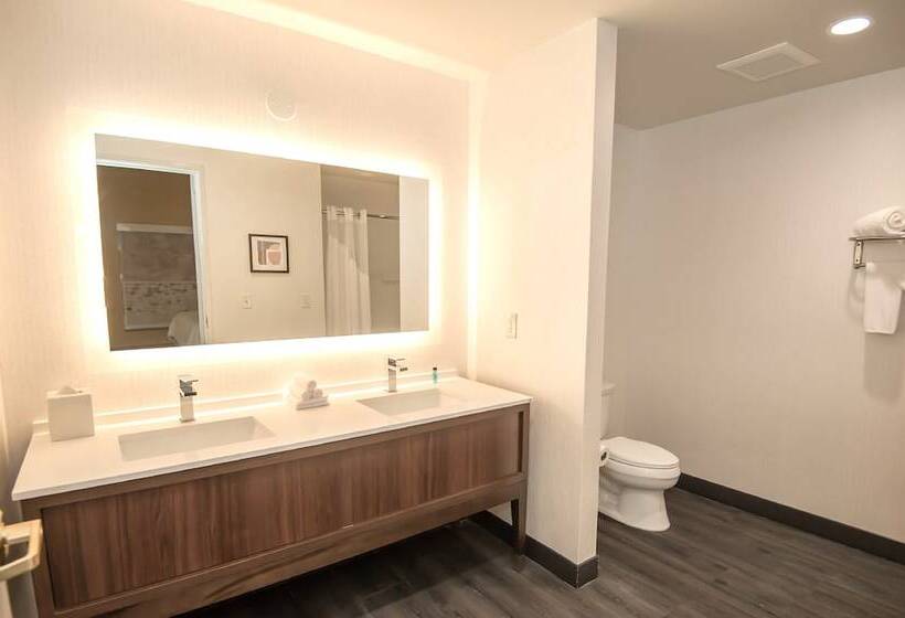 فندق Holiday Inn Oakland Airport, An Ihg