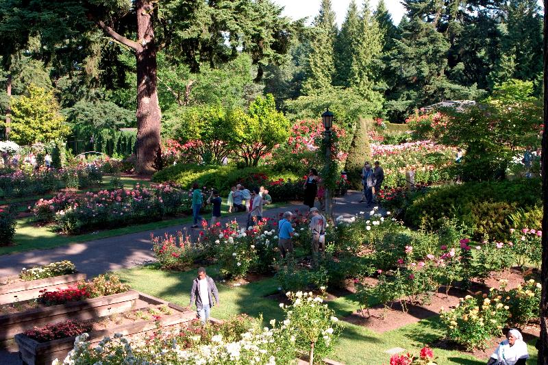 فندق Holiday Inn Portland Airport I 205, An Ihg