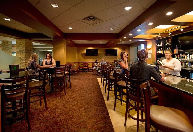 酒店 Holiday Inn Sioux Falls City Center, An Ihg