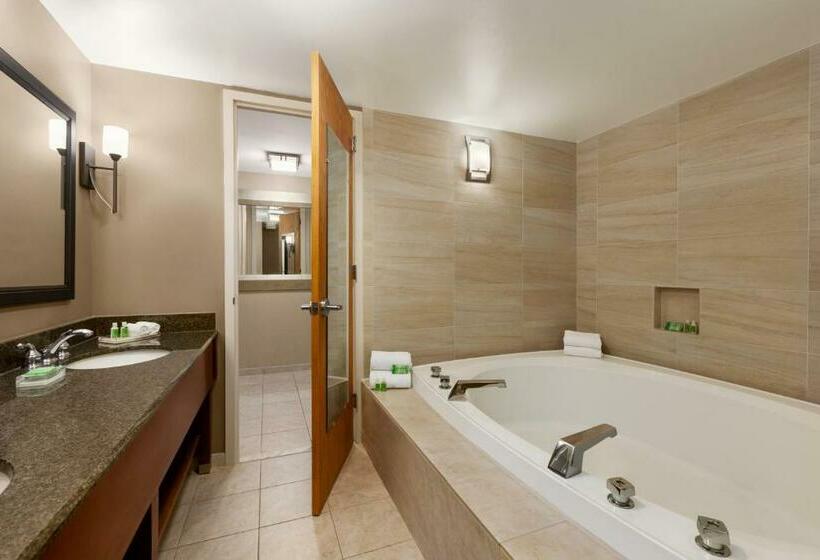 Отель Holiday Inn Washington Dulles International Airport, An Ihg