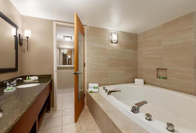 酒店 Holiday Inn Washington Dulles International Airport, An Ihg